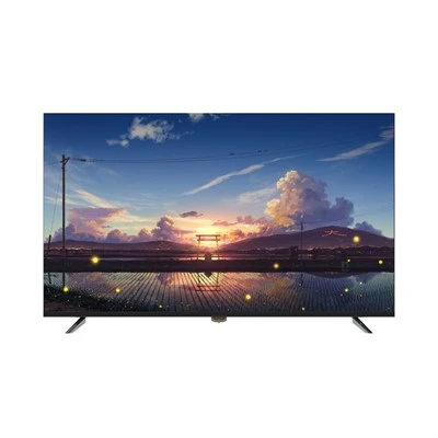 55 pous SKD Smart 4K Netflix televizyon